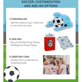 DolliBu Big Eye Blue Dolphin Stuffed Animal with Soccer Ball Plush - Huggable Dolphin Adorable Playtime Plush Toy, Cute Ocean Life Gift, Super Soft Stuffed Doll Animal Toy for Kids, Adults - 8 Inches