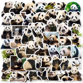 50 PCS Panda Stickers,Cute Cartoon Animal Stickers,Teens Boys and Girls Sticker Pack Vinyl Skateboard Guitar Door Laptop Luggage Car Bike Water Bottle Birthday Party Supplies Stickers