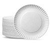 GUSTO [9 Inch - 300 Pack Uncoated White Paper Plates