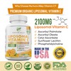 7.3 OZ Nurture Alley Natural Organic Vegan Liposomal Vitamin C