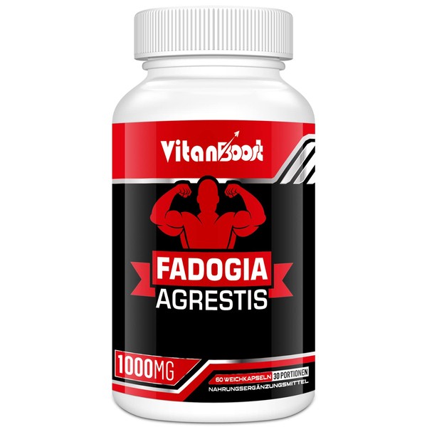 Vitanboost Fadogia Agrestis 1000mg with Ashwagandha & ZINC- Maximum Strength