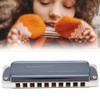 Blues Harp Harmonica 10‑Hole Professional Mouthorgan G Key Gifts Stainless