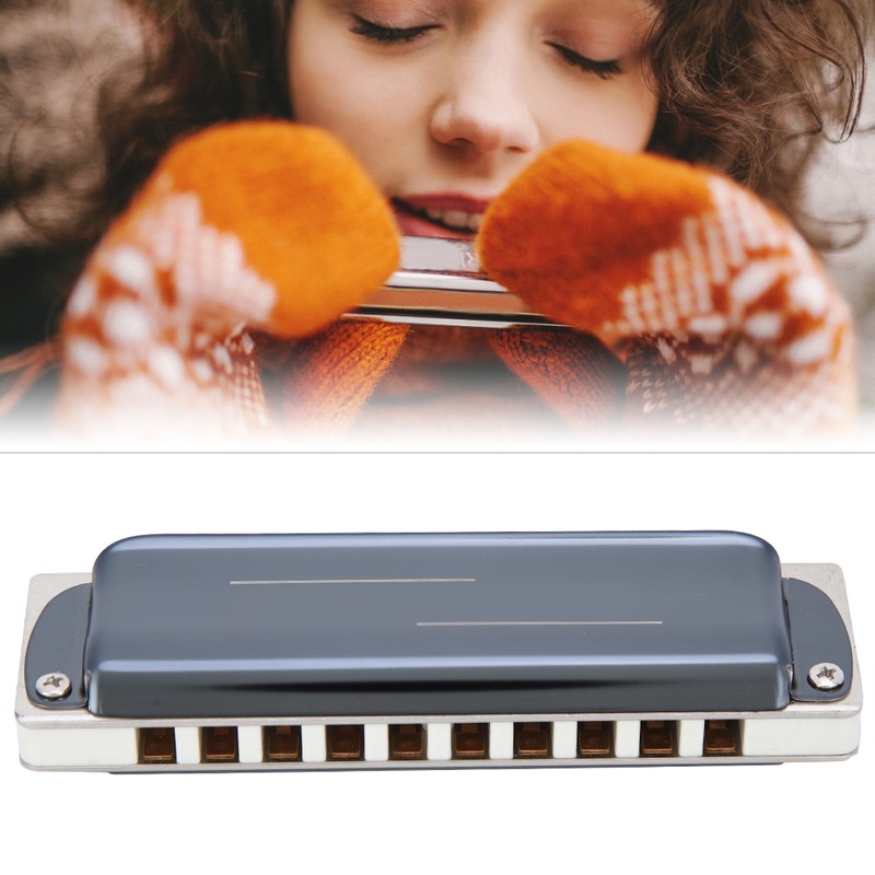 Blues Harp Harmonica 10‑Hole Professional Mouthorgan G Key Gifts Stainless