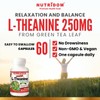 Nutridom Pure L-Theanine 250mg from Decaf Green Tea Leaf, 60