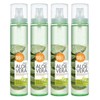 Kwailnara Mist Aloe 95 Aloe Vera Moisturizing 125ml 4pcs /