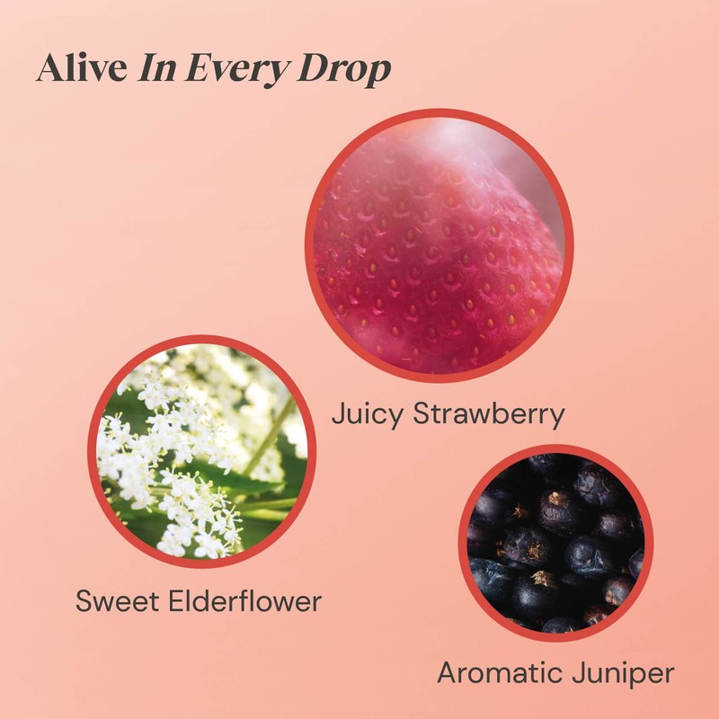 Twinings Strawberry and Elderflower Herbal Tea bags, 20 Tea bags