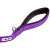 GOGO Pet Products Comfy Nylon Lead