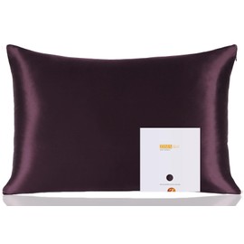 ZIMASILK 100% Pure Mulberry Silk Pillowcase for Hair and Skin Health,Soft and Smooth,Both Sides Premium Grade 6A Silk,600 Thread Count,with Hidden Zipper,1pc (Queen 20''x30'',Eggplant Purple)