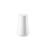 Rosenthal Jade 61040-800001-15030 Salt Shaker