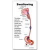 Blue Tree Publishing Swallowing anatomy education (5 x 11inch mini)