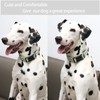 ARING PET Dinosaur Dog Collar-Cute Dog Collar for Small Dogs,