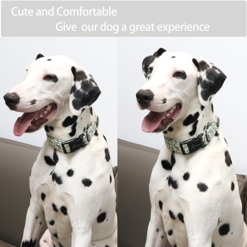 ARING PET Dinosaur Dog Collar-Cute Dog Collar for Small Dogs,