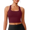 PINSPARK Longline Sports Bras for Women Razorback Hiking Tank Top