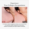 MEDICUBE [MEDICUBE]Collagen Night Wrapping Mask 75ml
