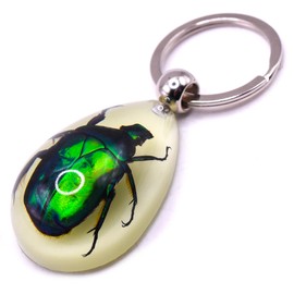 45mm Real Emerald Green Chafer Beetle in Glow in The Dark Lucite Keychain Insect Animal Taxidermy Sample Inside for Biology Science Education Decoration Tear Drop Key Ring Chain Pendant