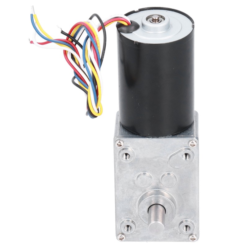 DC Brushless Worm Gear Motor High Torsion Low Noise Turbine