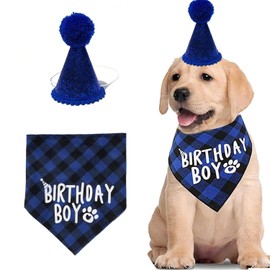 Dog Birthday Bandana and Hat Set - Blue Plaid Party Outfit for Dogs - Durable, Comfortable for Puppy Celebrations
