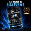 BHP NUTRITION- CREATINA MONOHIDRATADA ALTA PUREZA SABOR ARANDANO 490 GRS