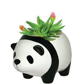 Streamline Imagined Panda Planter