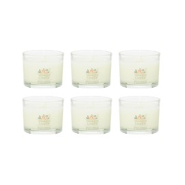 Yankee Candle Signature Votive Mini Candle Jar, White Spruce & Grapefruit Scent, Natural Soy Wax Blend Candle with Natural Fiber Wick, 1.3 OZ Glass Jar (Pack of 6)