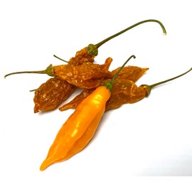 Aji Mango Qillu Uchu Peruvian Seasoning Pepper Dried Whole Pods 5 Pack