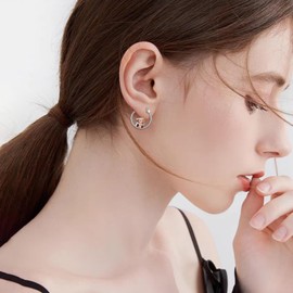 Owl Earrings Sterling Silver Animal Huggie Hoop Earrings Owls Jewellery Gifts for Women, Gold-plated, Email