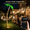 Innonly 7FT Lighted Palm Tree for Outside Patio, APP &