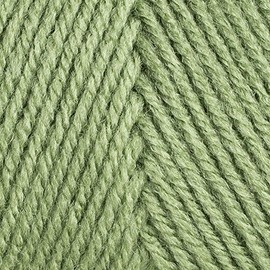 Red Heart Super Saver Economy Solids - Tea Leaf (0624)