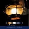 FLSNT 100W Equivalent A19 LED Light Bulbs, Efficient 14W, 1500Lumens,