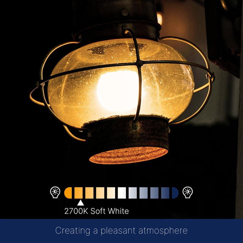 FLSNT 100W Equivalent A19 LED Light Bulbs, Efficient 14W, 1500Lumens,