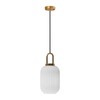 Brikey Brass Gold Pendant Light - Clear Glass Ceiling Lamp