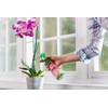 Scotts Ready-To-Use Orchid Plant Food Mist, 8 oz., Orchid Food