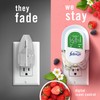 Febreze Odor-Fighting Fade Defy PLUG Air Freshener Berry & Bramble,