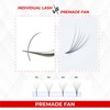 THE LASH SUPPLY THE LASH SUPPLY 1000fans 3D 4D 5D