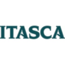 Whitney ITASCA RV LOGO Lettering decal Graphic Dark Teal