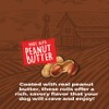 Rewardables Healthy Chewers Peanut Butter Collagen Rolls 2 Count |
