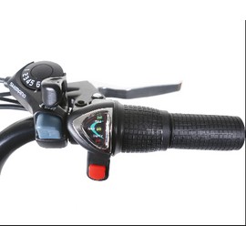 Throttle for Skylark