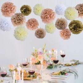 BestoFun 16 PCS Champagne Party Decorations Tissue Paper Flowers Pom Poms Decorations for Girl Groovy Birthday Baby Shower Wedding Bachelorette Room Wall Hanging Décor