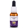 Living Essences Pink Trumpet 15ml