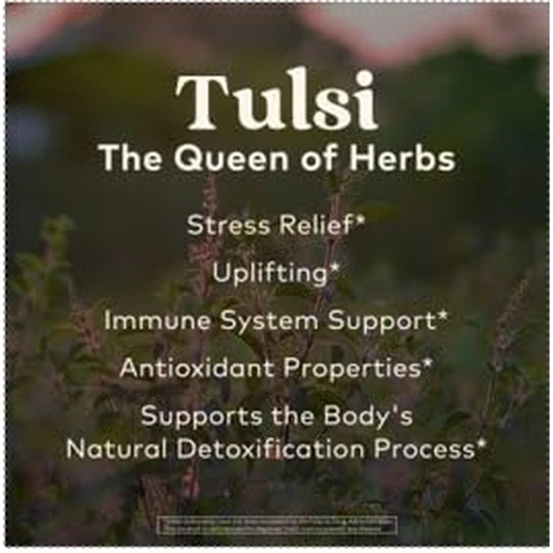 Organic India Tulsi Hibiscus Herbal Tea, Stress Relief & Calming,