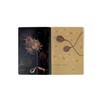BV by Bruno Visconti Premium Set of Eight Lined Notebooks/Diaries