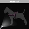 Didog Soft Flannel Padded Dog Vest Harness, No Pull/Quick Fit