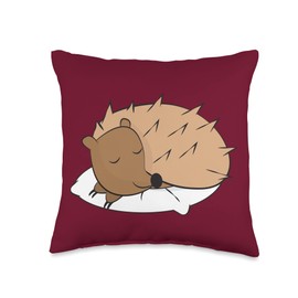 Kaisi Drawing, Snooze, Snooze, Dream Sleep, Dream Pajamas, Children's Snooze Light, Hedgehog Sleep Throw Pillow, 16x16, Multicolor