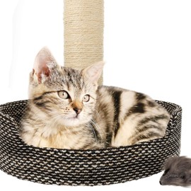 Lantelme Sisal Rope 30 Metres Long - Natural Rope Cord for Cats Scratching Post Repair Pet Supplies Griffoir Cat Tree - Robust Sisal Lead for Hobby Crafts DIY Projects and Outdoor Gardening