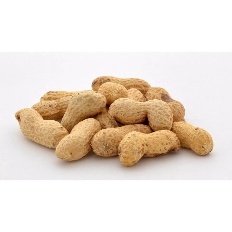 Hampton Spicy Peanuts in Shell Hot Nuts - (1 Pack)