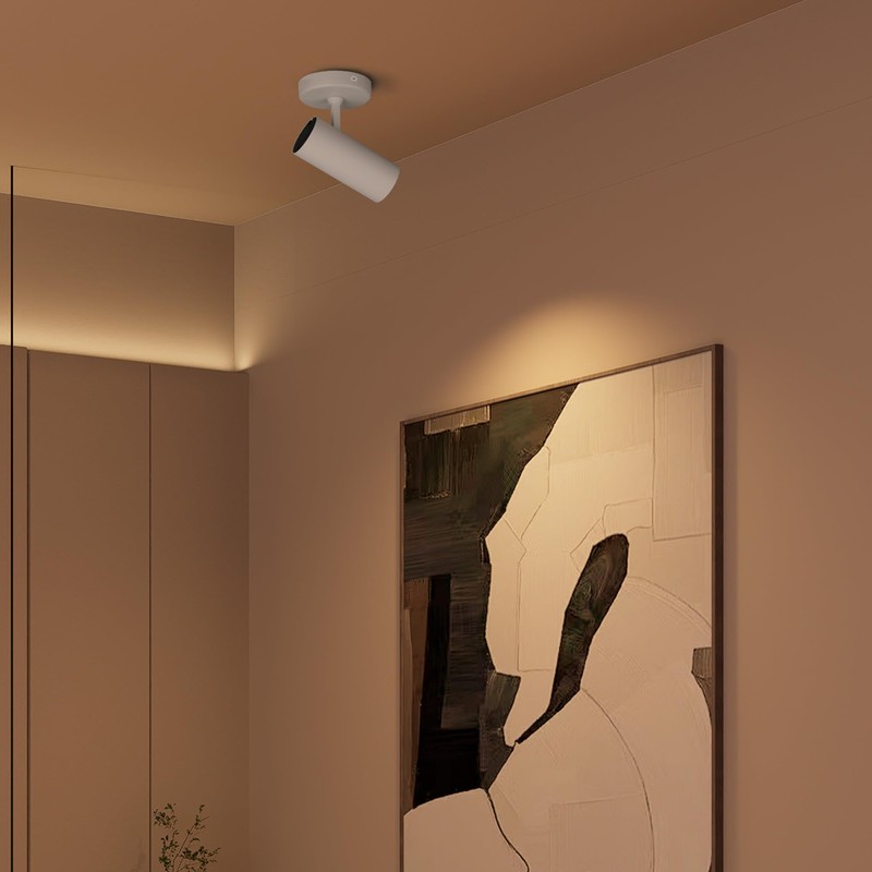 Aisilan 2 Pack 9W LED Modern Directional Dimmable Spot Light