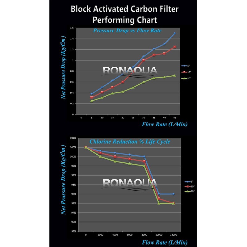 1 High Capacity Coconut Shell Carbon Block & 1 Big