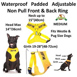 ADOPT ME (I Need A New Home) Yellow Colour Coded Non-Pull Front and Back D Ring Padded and Waterproof Vest Dog Harness S M and 1.2m or 1.8m Neoprene Padded Lead Set PREVENTS Accidents By Warning Others Of Your Dog In Advance (M & 1.8m)