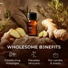 Gya Labs Ginger Essential Oil - 0.34 Fl Oz -