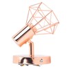 Swing Arm Wall Lamp 350 Degree Rotary Cage Shade Iron
